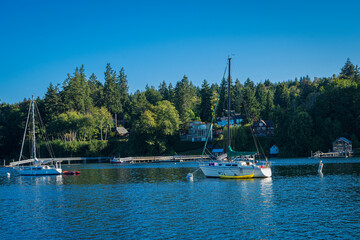 2021-09-04 SAIL BOATS ANCHORED IN A BAY BY BAINBRIDGE ISLAND WASHINGTON.