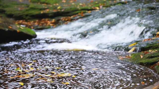 Blackwater Falls famous Elakala waterfall closeup of swirl in pool water in State Park in West Virginia during autumn fall season 