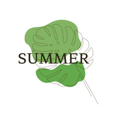 summer, tropical leaf, illustration of monstera, green color, poster, plant