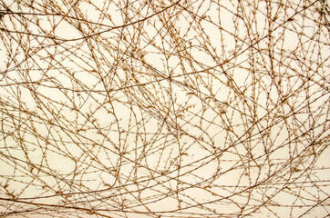 Background of branches on a wall
