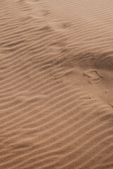 Rippled sand texture bathed in the afternoon sun at the beach.