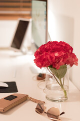 Hydrangea on desk