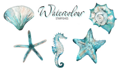 Sea Life Watercolor. Seashell, Starfish Aqua Watercolour Blue Ocean Set © Anna