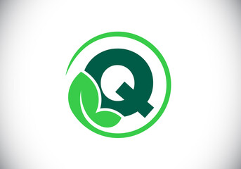 Initial Q monogram alphabet with leaf. Eco-friendly logo concept. Font emblem. Modern vector logo for ecological business and company identity