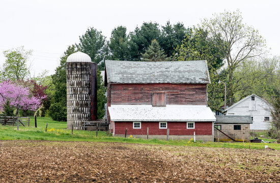 Rustic old barn and silo in spring, in Michigan USA 
