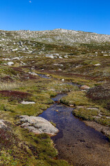 river in the mountains
