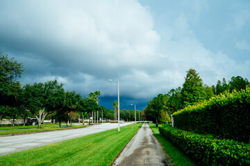 tree, street and beautiful cloud in summer of florida	

