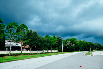 Beautiful trees and thunder cloud in the summer of Florida	