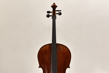 violin on blank background