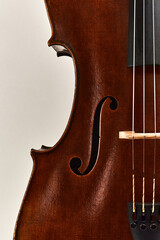 violin on white background