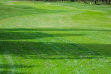Fototapeta na wymiar green grass texture of the golf course for background. High quality photo