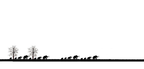 Amazing sunset and sunrise.Panorama silhouette tree in africa with sunset.Tree silhouetted against a setting sun.Dark tree on open field dramatic sunrise.Safari theme.Giraffes , Lion , Rhino.