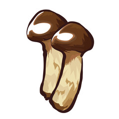 2本の手書き風マツタケ