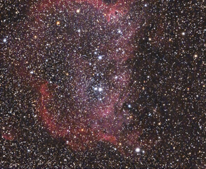  The Soul Nebula in the constellation Cassiopeia (IC 1848) as seen from Tuscany, Italy with a refracting telescope and a cooled camera