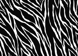 Fototapeta na wymiar zebra pattern. Animals nature background