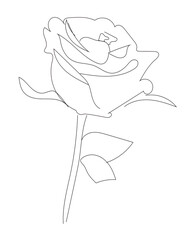 Rose (line art)
