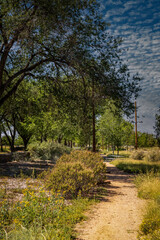 A Walk through the Woods