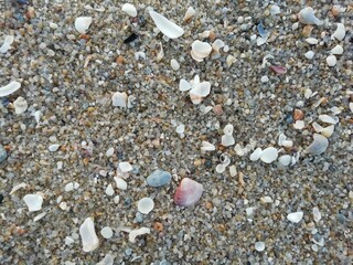 pebbles on the beach