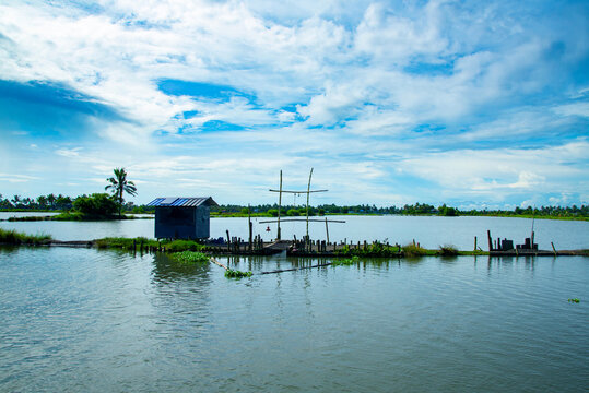 backwaters photography during daytime under blue sky, Kerala backwaters Kadamakkudy Kerala
