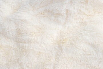 close up of fur