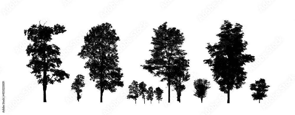 Poster set of trees silhouette for brush on white background