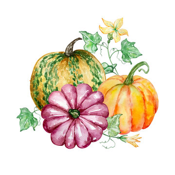Watercolor autumn composition with yellow and pink pumpkin