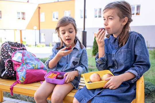 Little School Girls Sitting On Bench In School Yard And Eating From Lunch Boxes.