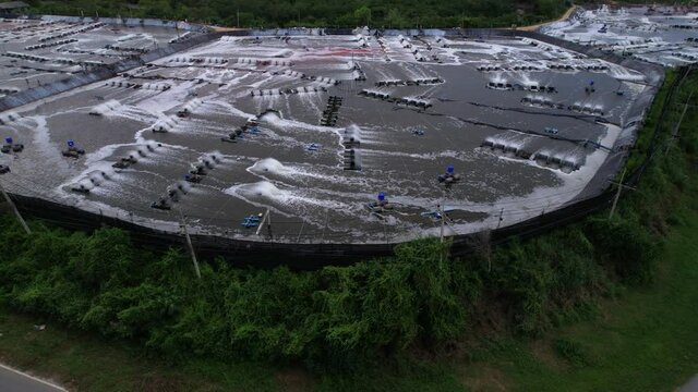 shrimp farm, prawn farming with with aerator pump oxygenation water near ocean. aerial view fish farm with ponds growing fish and shrimp and other seafood. Fish hatchery pond aerial view aquaculture 