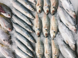 Obraz premium Fresh fish on ice on the Indonesian market