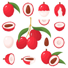 Set of fresh whole, half, cut slice lychee fruits isolated on white background. Summer fruits for healthy lifestyle. Organic fruit. Cartoon style. Vector illustration for any design.