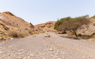 Fantastically  beautiful landscape in a nature reserve near Eilat city - Red Canyon, in southern Israel