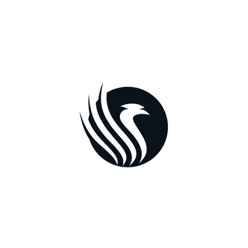 Inspiration Design Logo Falcon Phoenix Hawk vector Flying Bird Circle