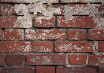 Obraz premium the texture of a red old brick wall with white scuffs and gray cement