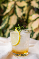 Iced honey lemon soda with rosemary. Refreshment healthy drink with warm sunlight in a garden.