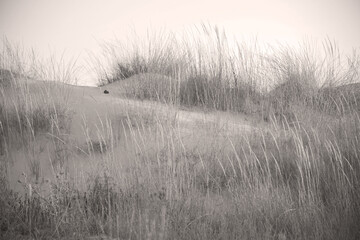 Greek Islands summer vacation