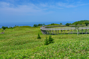 Fototapeta premium 北海道・道東 知床五湖 高架木道 8月