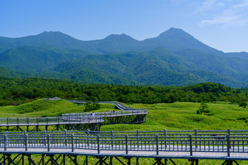 北海道・道東　知床五湖 高架木道 8月
