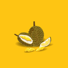 llustration of durian fruit, the king of fruits on a yellow background