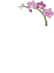 Obraz na płótnie Canvas Orchid letter paper 