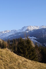 the wintery Alps in beautiful Oberjoch in Bavaria (Germany)