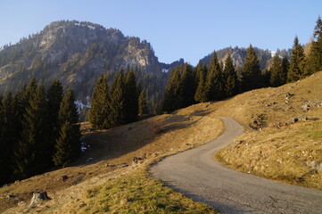 Fototapeta premium a hiking trail in the scenic sun-drenched wintery Bavarian Alps against the clear blue sky in beautiful Oberjoch in Bavaria (Germany)