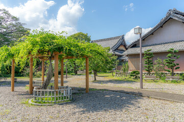 Fototapeta premium 久昌寺 