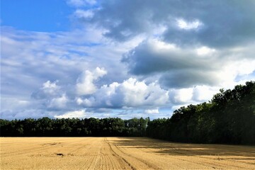 Ackerbau/Landwirtschaft