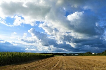 Ackerbau/Landwirtschaft