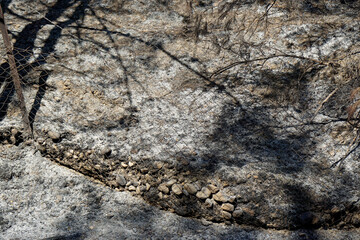 scorched landscape on rhodes island after forest fire