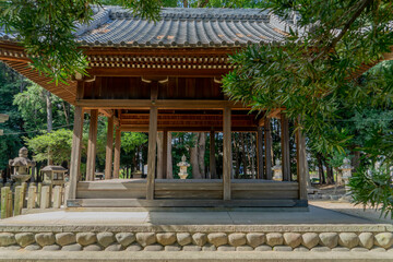 Fototapeta premium 龍神社
