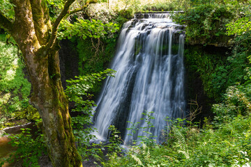 Fototapeta na wymiar Aysgill Force Waterfall