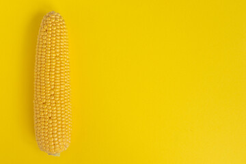 fresh corn cob isolated on yellow background