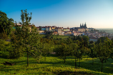 Fototapeta na wymiar Prague Castle in Prague in czech republic