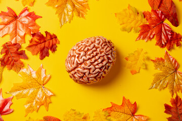 Human brain with autumn leaves on yellow background. Top view